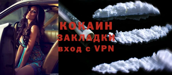 индика Белоозёрский