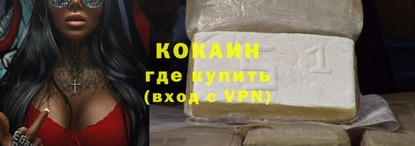 индика Белоозёрский