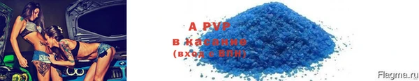 индика Белоозёрский