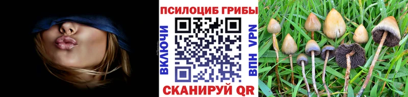 Галлюциногенные грибы мухоморы  цена наркотик  Жиздра 