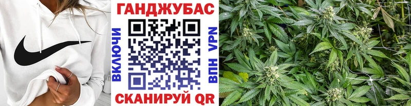 МАРИХУАНА план  цена   ОМГ ОМГ вход  Жиздра 
